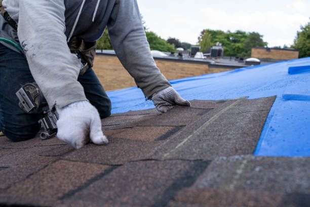 Best Storm Damage Roof Repair  in Montverde, FL